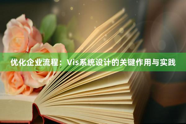 优化企业流程：Vis系统设计的关键作用与实践